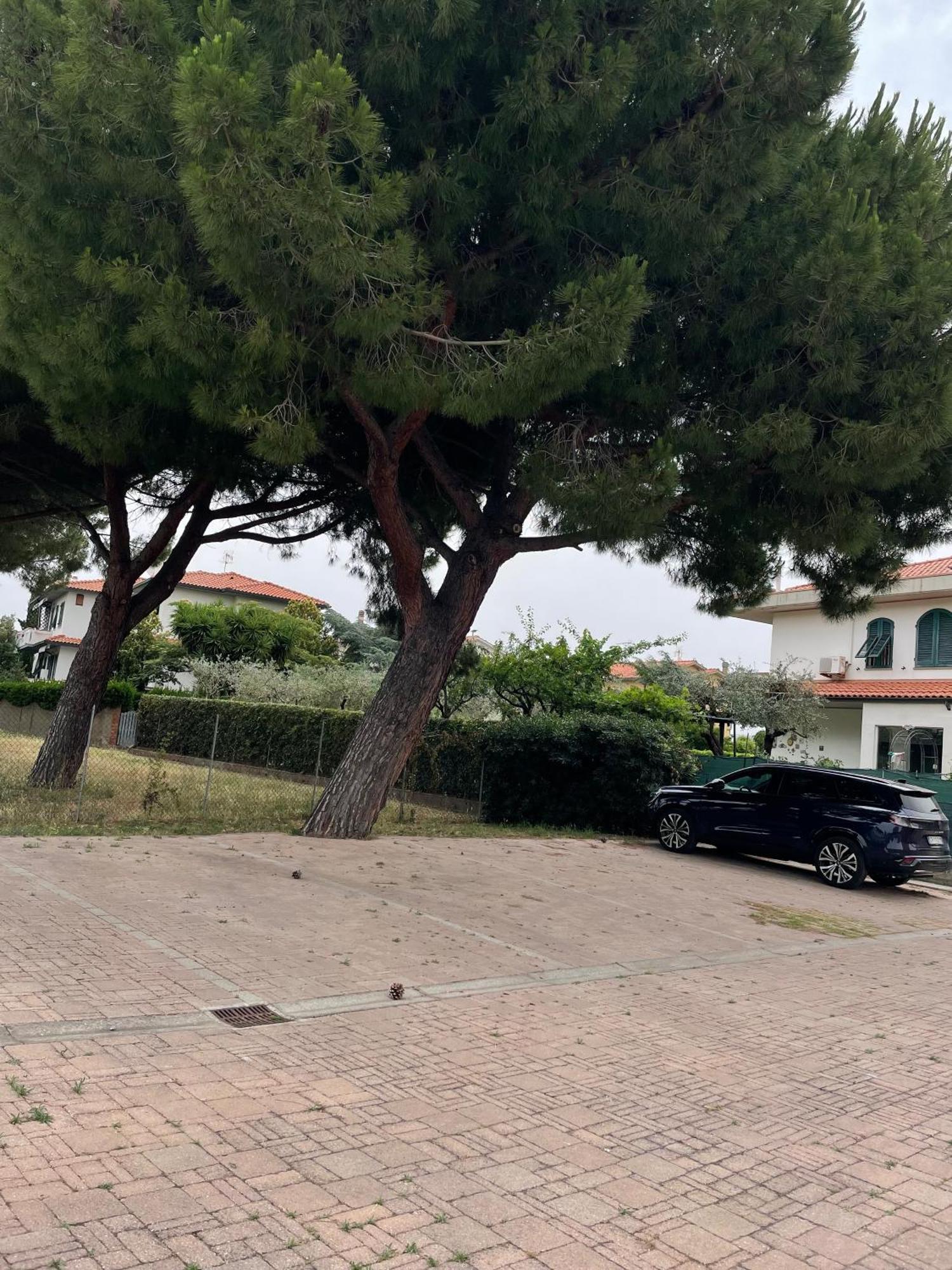 ואדה Casa Vacanze Le Due Torri מראה חיצוני תמונה